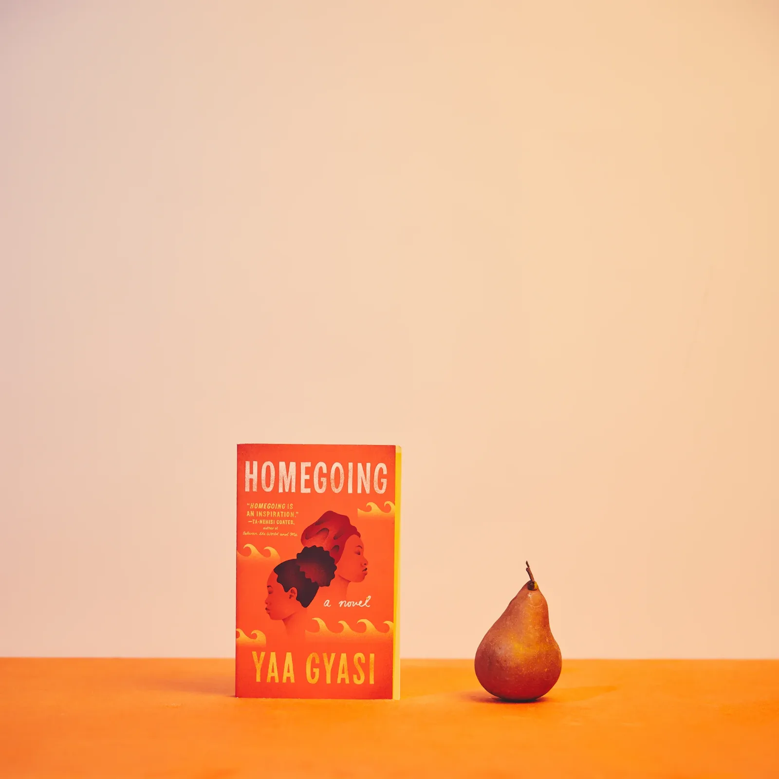 Homegoing
