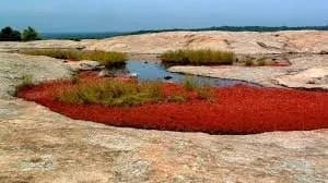 2.5 Hour Guide Hike on Arabian Mountiain