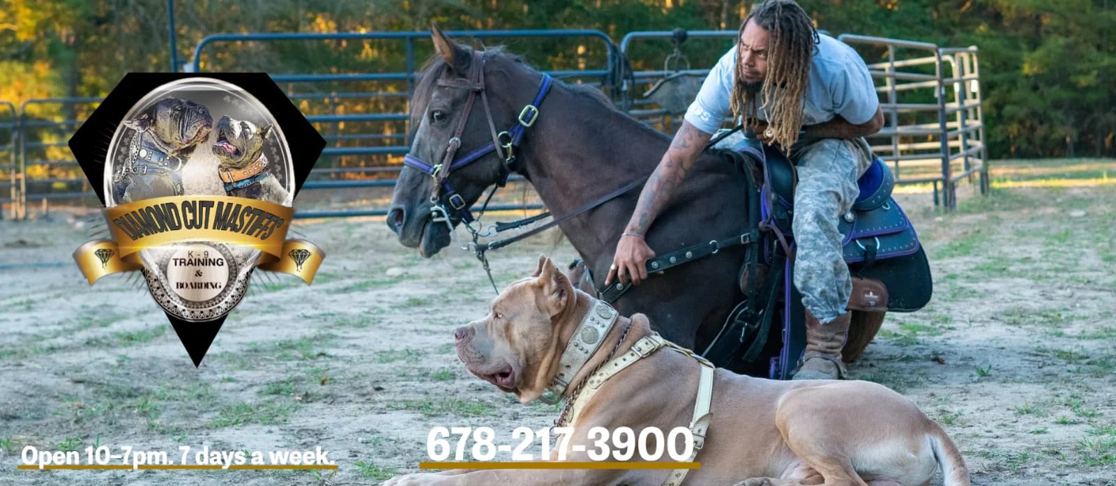 Diamondcut Mastiffs & Ranch