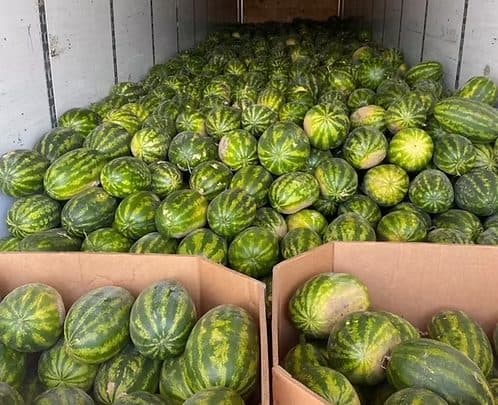 NC Delivery: Seeded Watermelons