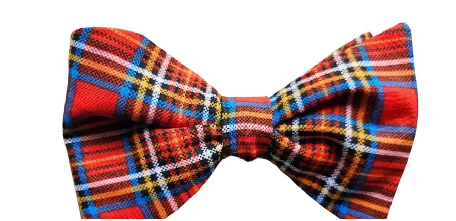 Funky Plaid Adult Bow Tie