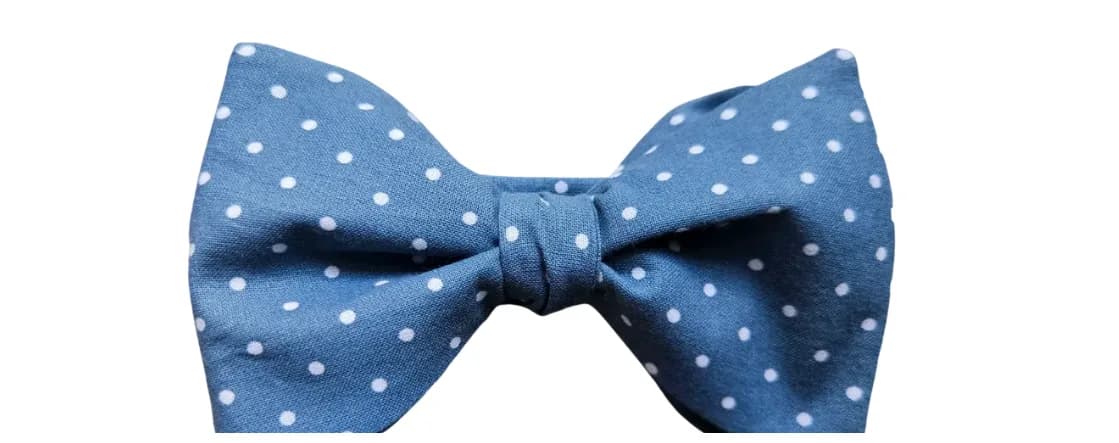 Coastal Blue Adult Bow Tie