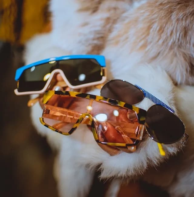 Style Eyes Optical