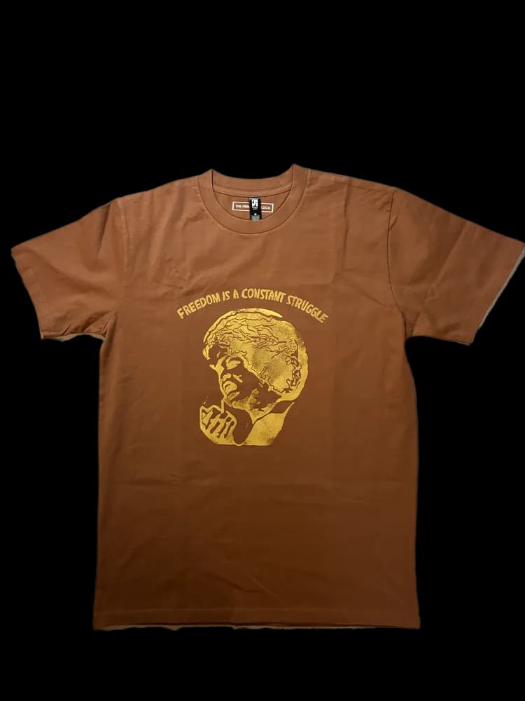 FREEDOM IS A CONSTANT STRUGGLE TSHIRT